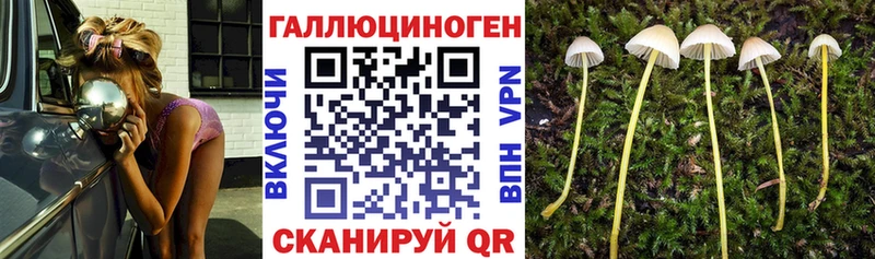 закладка  Любань  Галлюциногенные грибы Magic Shrooms 